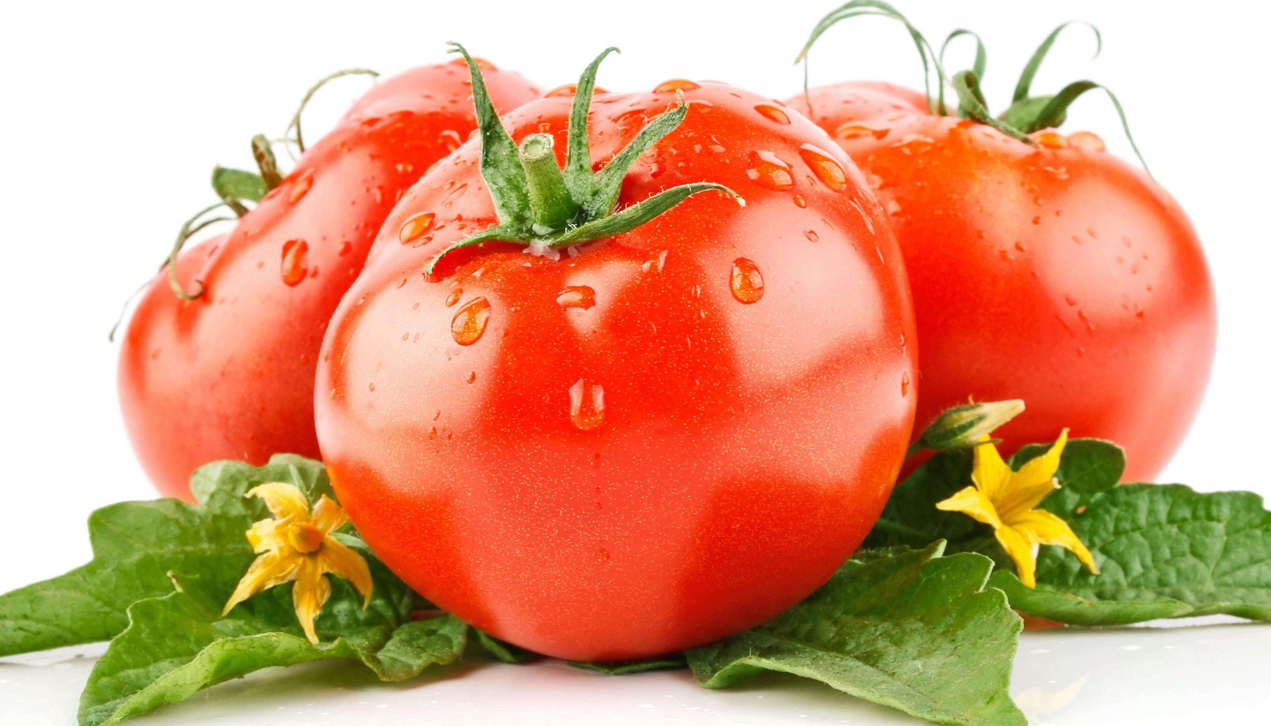 Dinh dưỡng có trong cà chua